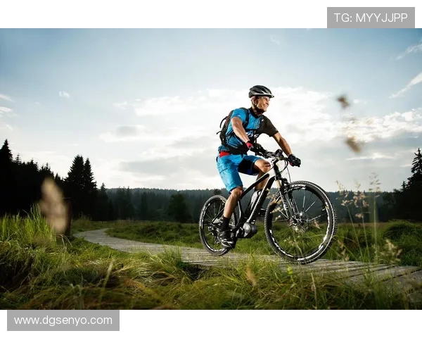 提升身体素质与心理健康的完美结合探索运动对现代人生活方式的深远影响 提升身体素质与心理健康的完美结合探索运动对现代人生活方式的深远影响
