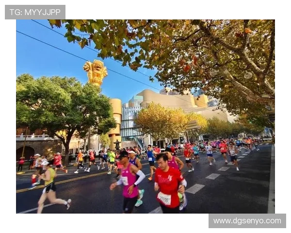 上海飞盘队逆袭之旅揭秘马拉松大满贯背后的奋斗与荣耀