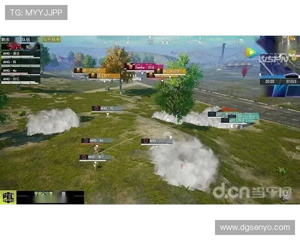 和平精英速度排行榜揭晓RNG战队荣登第四名引发热议