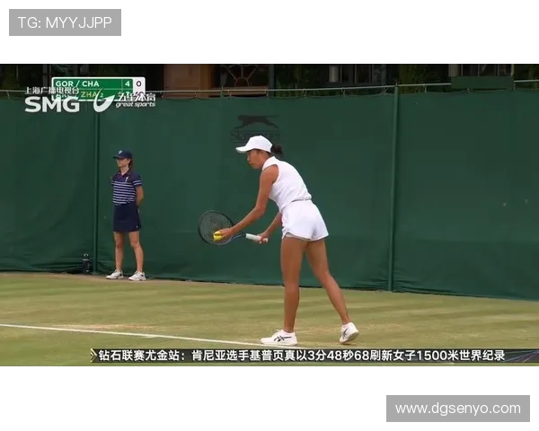 广州网球队在钻石联赛中的拼搏历程与辉煌成就揭秘