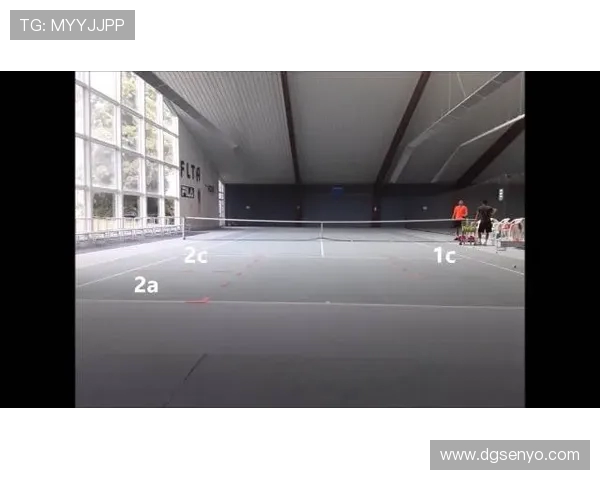 深圳网球队进攻体系解析与战术创新探讨 深圳网球队进攻体系解析与战术创新探讨