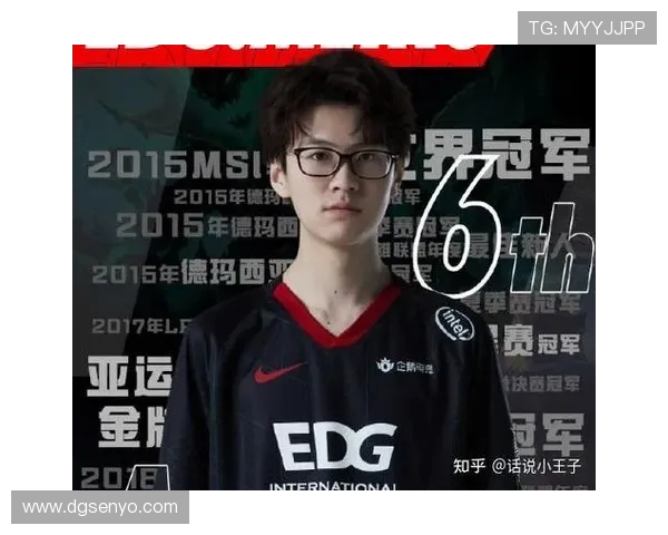 Meiko辅助玩法全面解析技巧及实战经验分享